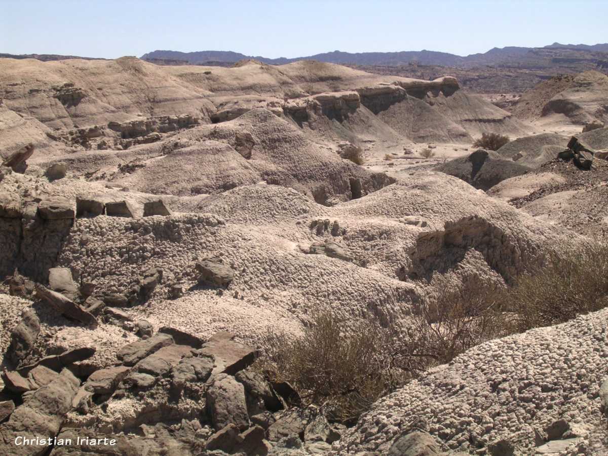 Parque provincial Ischigualasto