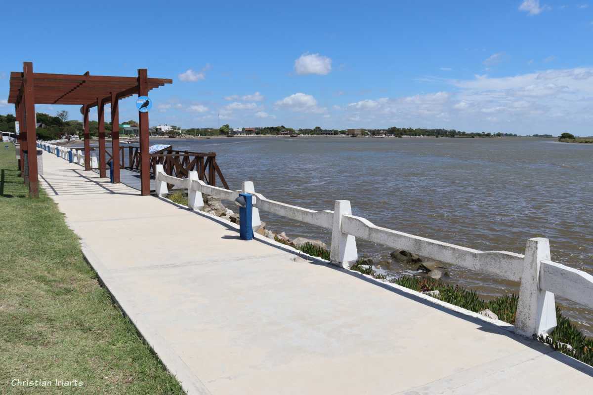 Imagen: Albufera Mar Chiquita