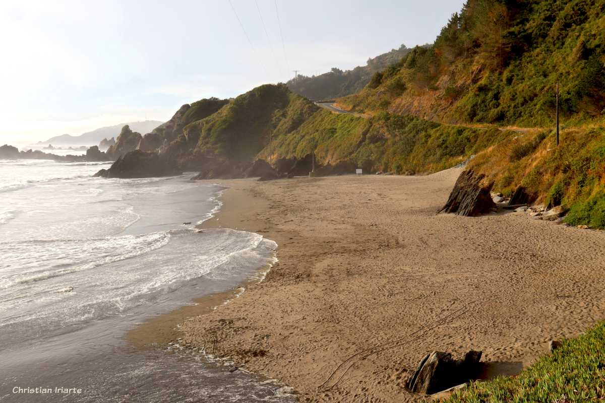 Playa Universitaria - Mehuín