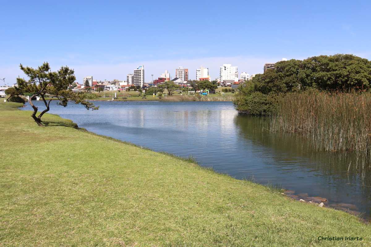 Image: Punta Mogotes