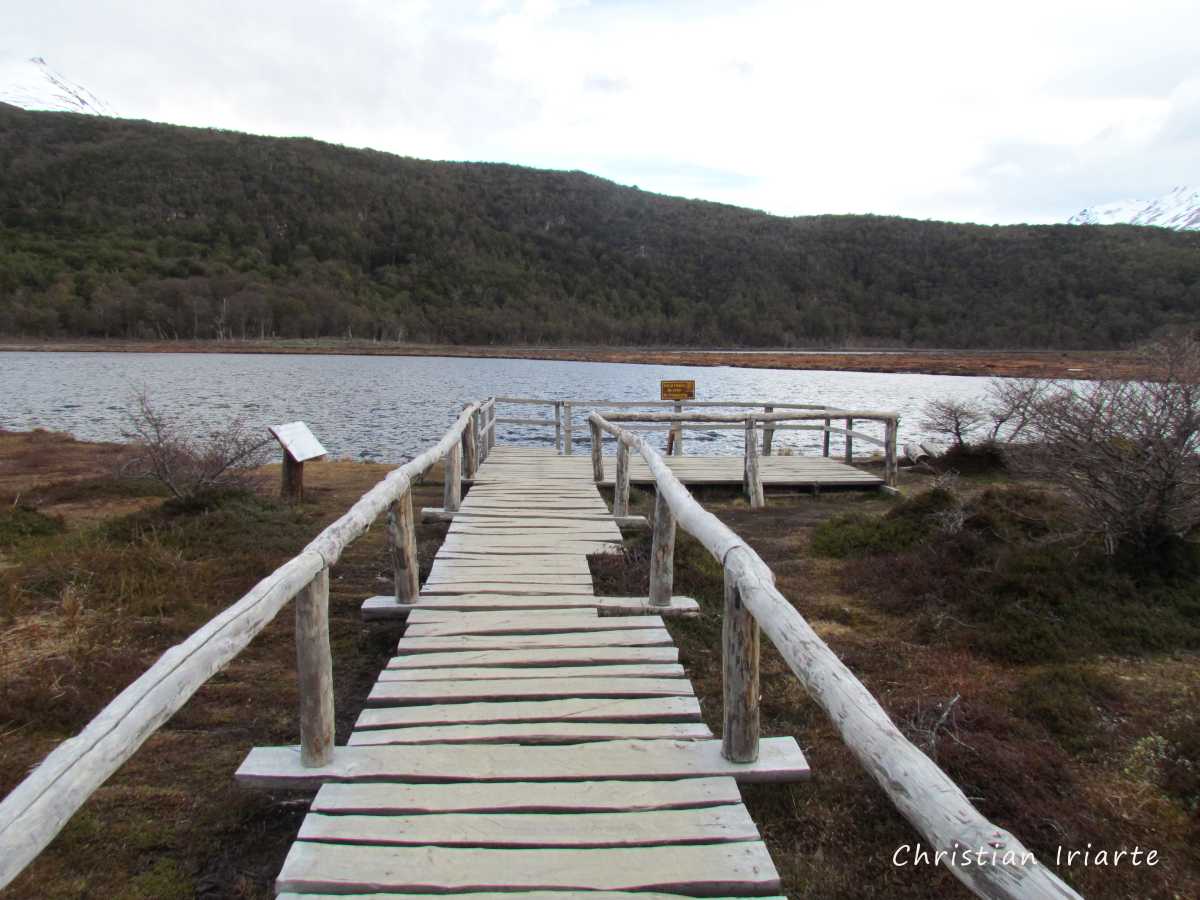 Image: Laguna Negra - Tierra del Fuego National Park