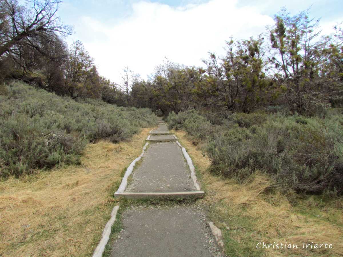Trail to Laguna Negra